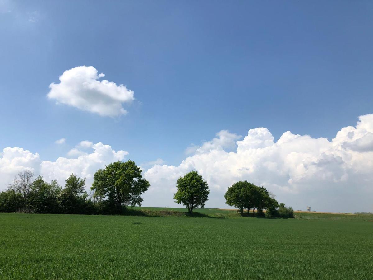 Bierbee Lägenhet Bierbeek Exteriör bild